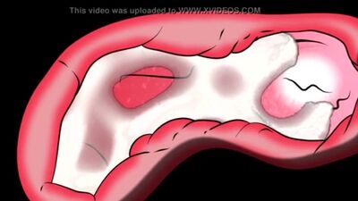 Gay Yiff Videos 4