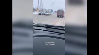 Медведь на улицах города. Нижневартовск, 17.03.21